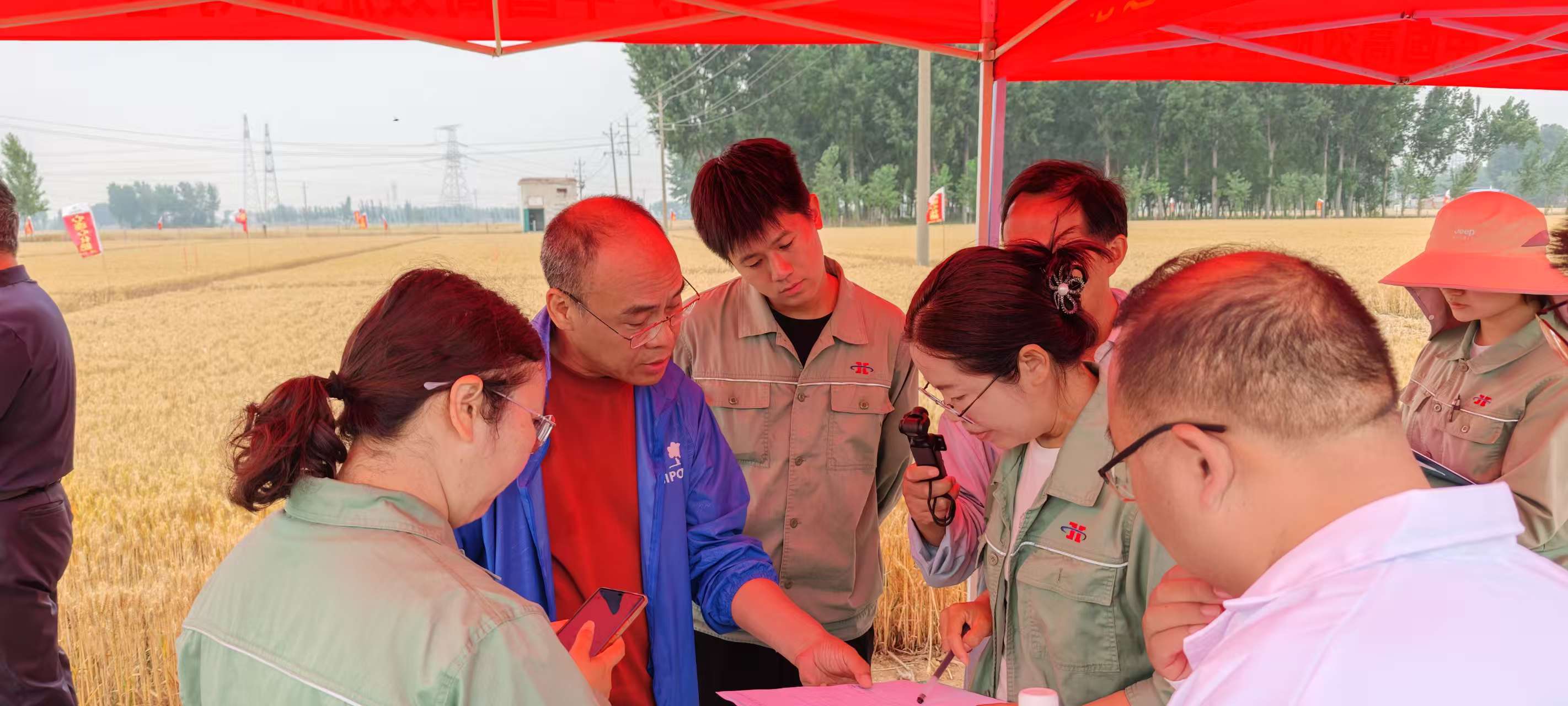 高溫旱情下科技賦能農(nóng)業(yè)！心連心集團(tuán)主持的兩個(gè)“十四五”課題交出亮眼成績單